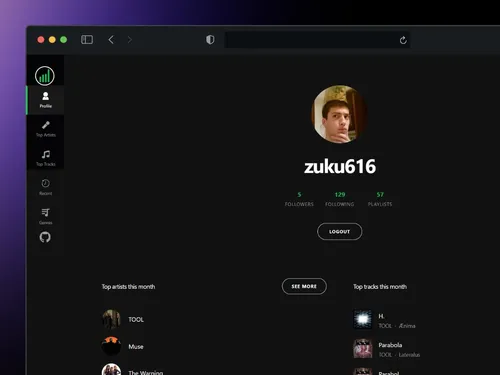 SpotInsight project preview with Spotify listening data